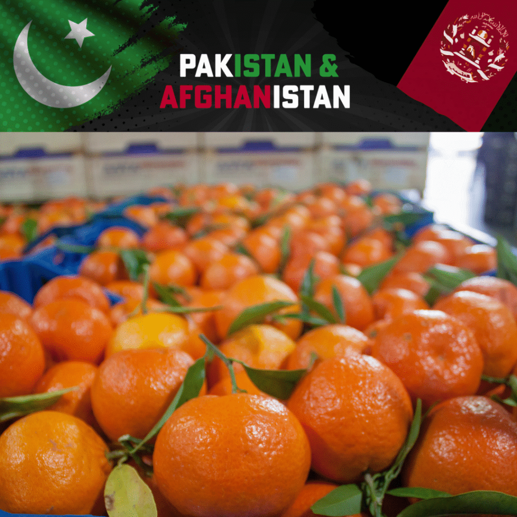 Pakistan-Afghanistan Border Crisis: $100M Kinnow Export to Traditional Regional Markets at Risk, PAJCCI