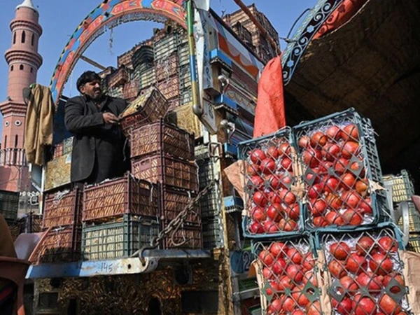 Pakistan Blocks Afghan Fruit Smuggling via Iran; 5,500 Transit Containers Stranded