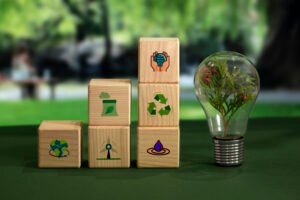 Pakistan SMEs Embrace Green Transition for Global Competitiveness