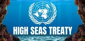 UN High Seas Treaty Takes Effect: 81 Nations Commit to Biodiversity Conservation