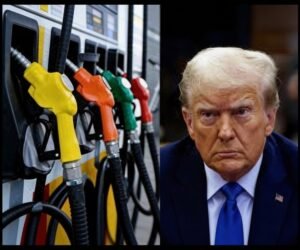 Trump: "If They Rise, They Rise" – Gas Prices No Match for Iran Mission