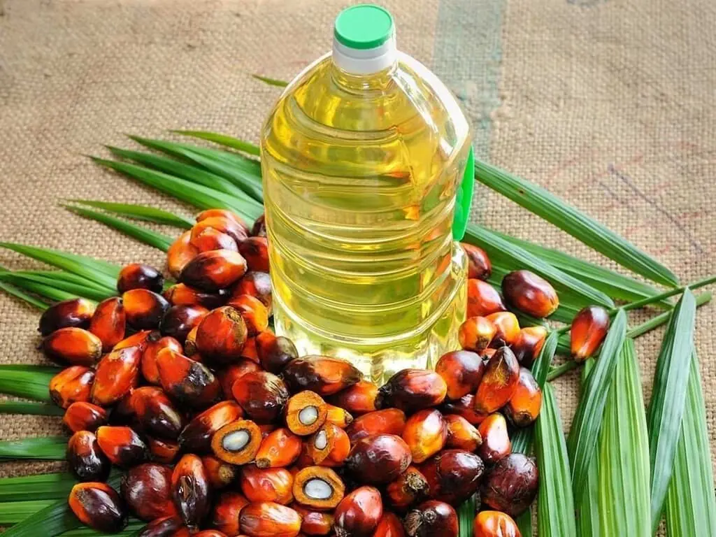 Palm Oil Prices Surge 23% CYTD, Pressuring Import Bill to Around $3.4 Billion