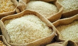 Kenya Rice Export Meeting: REAP Members Discuss Export Hurdles and Ways to Enhance Trade