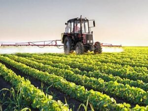 Pakistan's Rs7.1b Farm Storage Fund Heavily Outweighed by 35% Crop Wastage Nightmare