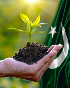 Climate Change Projects: Green Pakistan Programme Gets Rs2.3b in FY2026-27 Development Budget